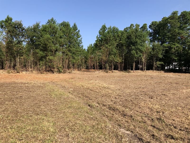Land for Sale, Beaufort County, NC, Land for Sale in North Carolina