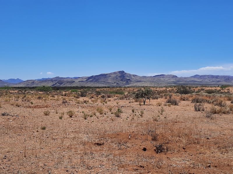 One Acre 90 Minutes From Vegas : Golden Valley : Mohave County : Arizona