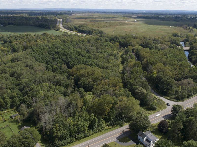 Wooded and Wetlands to Build : Clay : Onondaga County : New York