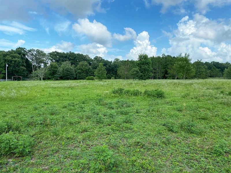 Vacant Land with Well and Septic : Trenton : Gilchrist County : Florida