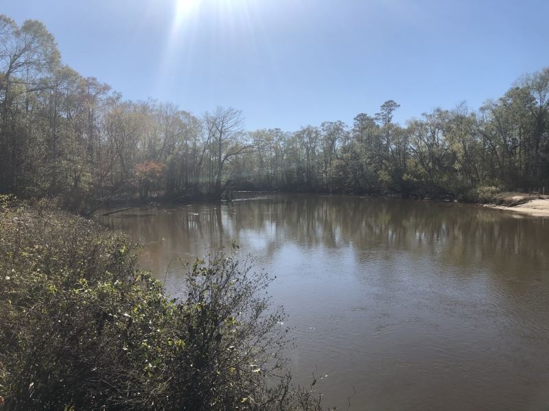 La, Allen 211 Ac : Kinder : Allen Parish : Louisiana