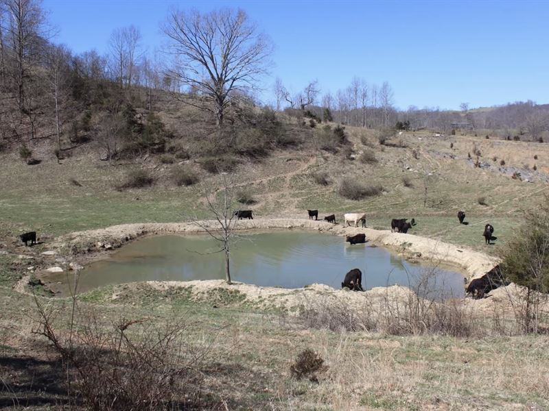 Beautiful Farm with Pond and Views : Saint Paul : Russell County : Virginia