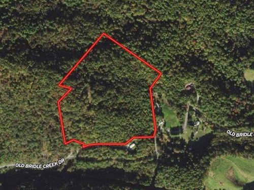 28.6 Acres of Hunting And Recreatio : Independence : Grayson County : Virginia