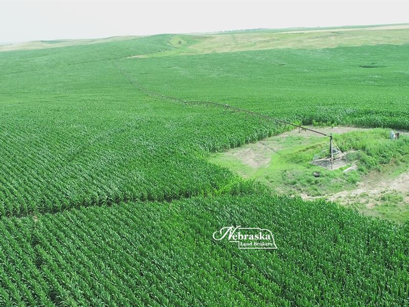 Logan County Pivot Irrigated Farm : Stapleton : Logan County : Nebraska