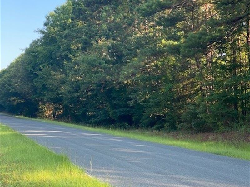 Affordable Gorgeous Land : Lincolton : Lincoln County : Georgia