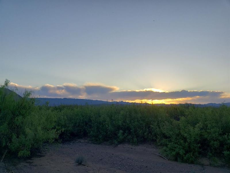 10 Beautiful Acres Near Marfa : Marfa : Presidio County : Texas