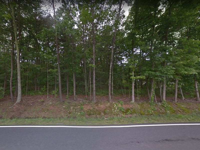 18.6 Acres in Louisa County, VA : Louisa : Louisa County : Virginia