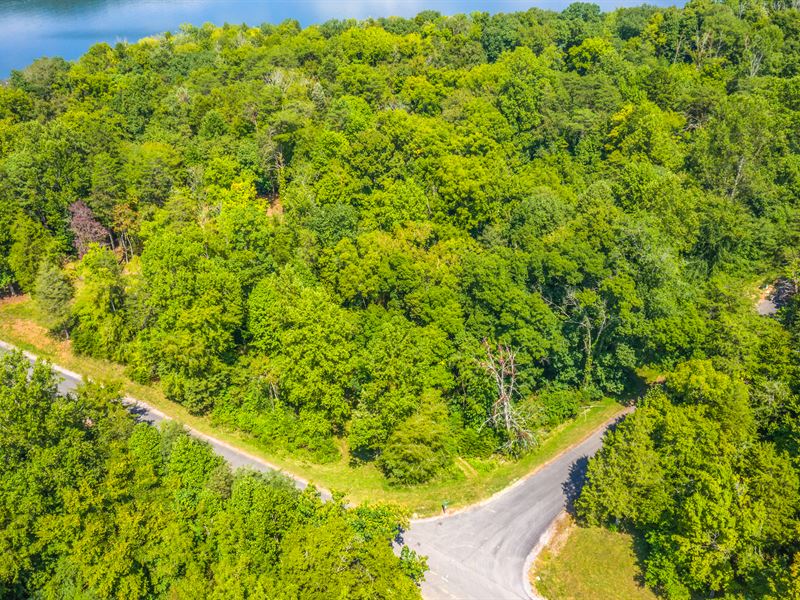 1.81 Acre Building Lot, Walnut Bend : Whitesburg : Hawkins County : Tennessee