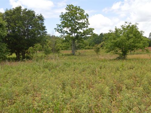 Great Property : Live Oak : Suwannee County : Florida