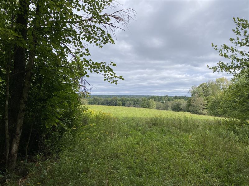 Clover Meadows : Camden : Oneida County : New York