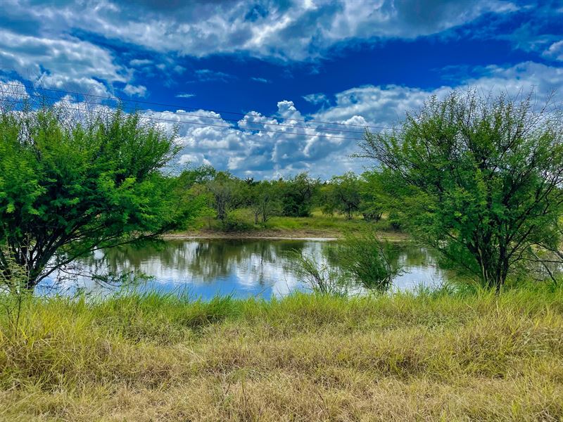 Acreage, Pond, Near Austin : Kingsbury : Guadalupe County : Texas