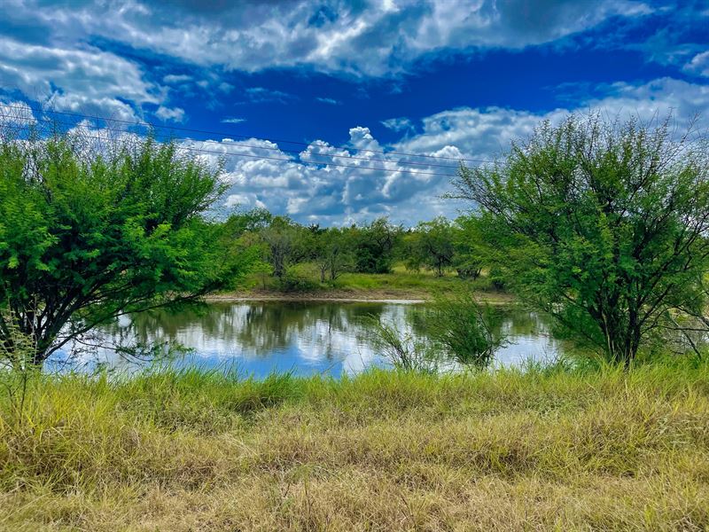 Acreage, Pond, Near Austin Land for Sale in Kingsbury, Guadalupe