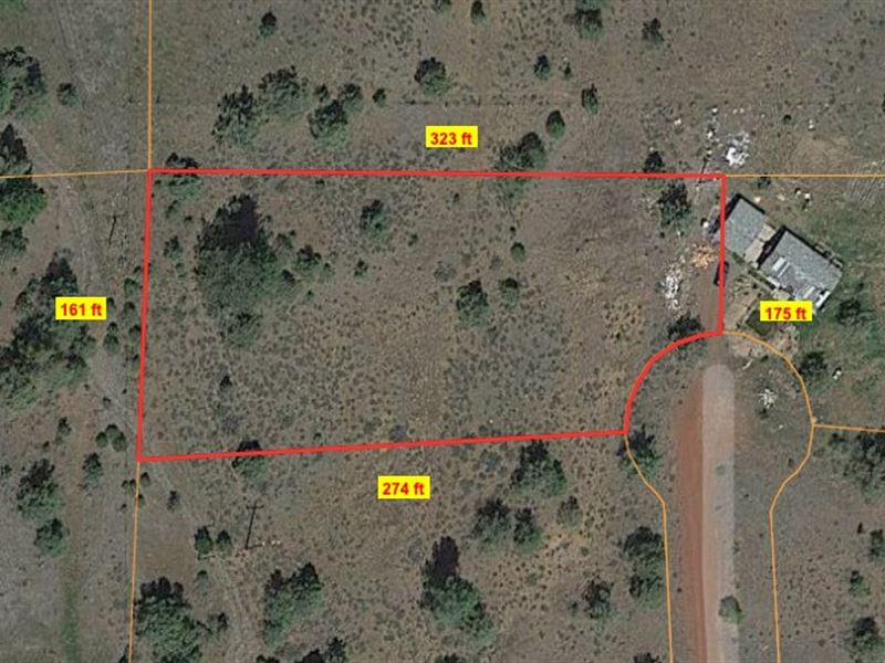 Cul-De-Sac Property Near Rush Creek : Alturas : Modoc County : California