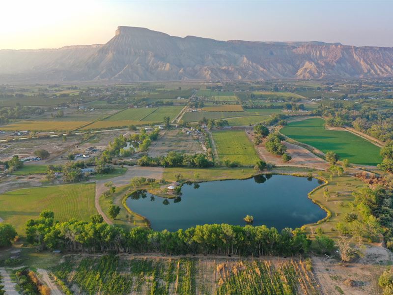 Urban Ranch : Clifton : Mesa County : Colorado