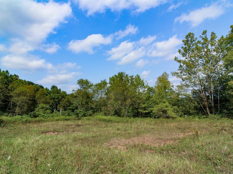 West Union Rd, 45 Acres, Monroe : Sardis : Monroe County : Ohio