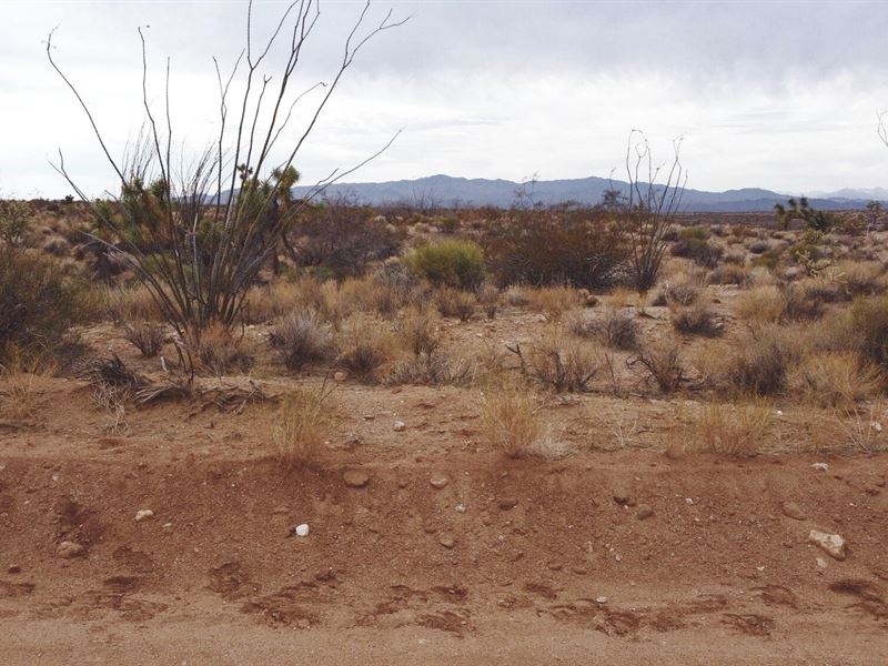 40.20 Acres in Mohave County : Lake Havasu City : Mohave County : Arizona