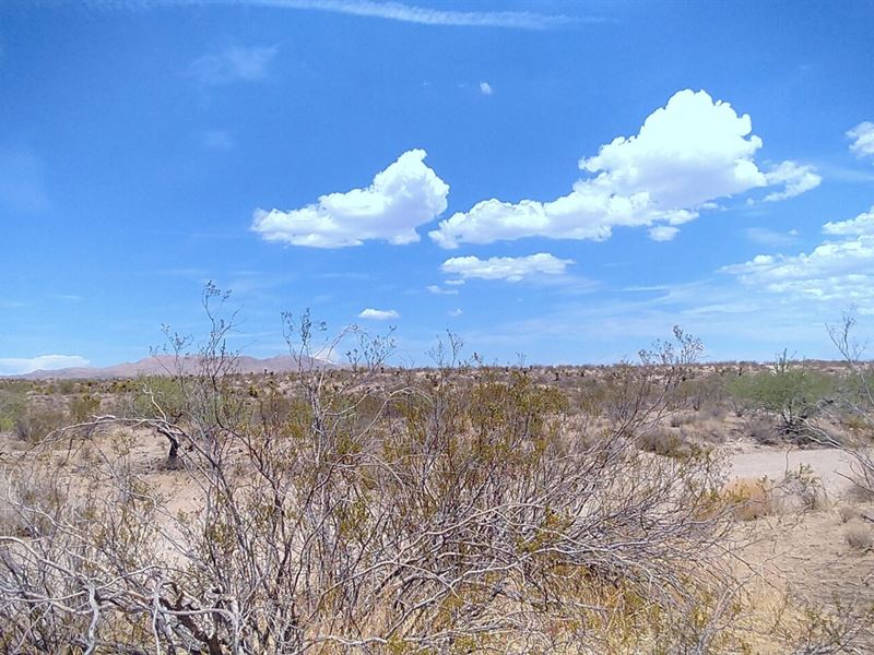 Perfect Spot to Enjoy Amazing Views : Yucca : Mohave County : Arizona