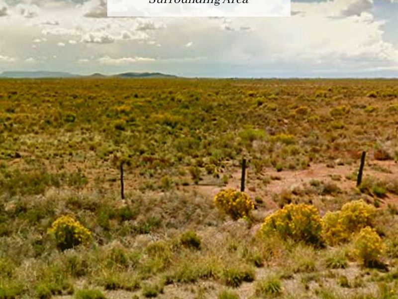 4.9854 Ac Only $1 Down, $199/Mo : Blanca : Costilla County : Colorado