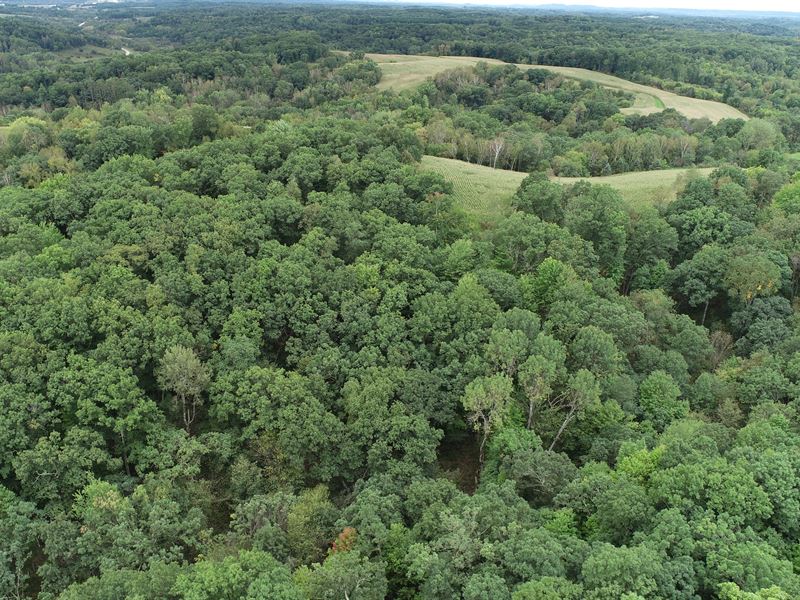 40 Acres Trempealeau County : Pigeon Falls : Trempealeau County : Wisconsin