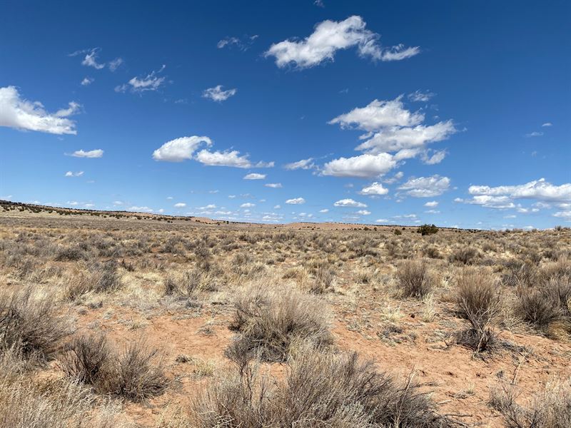 Easy Highway Access to Your Land : Sanders : Apache County : Arizona