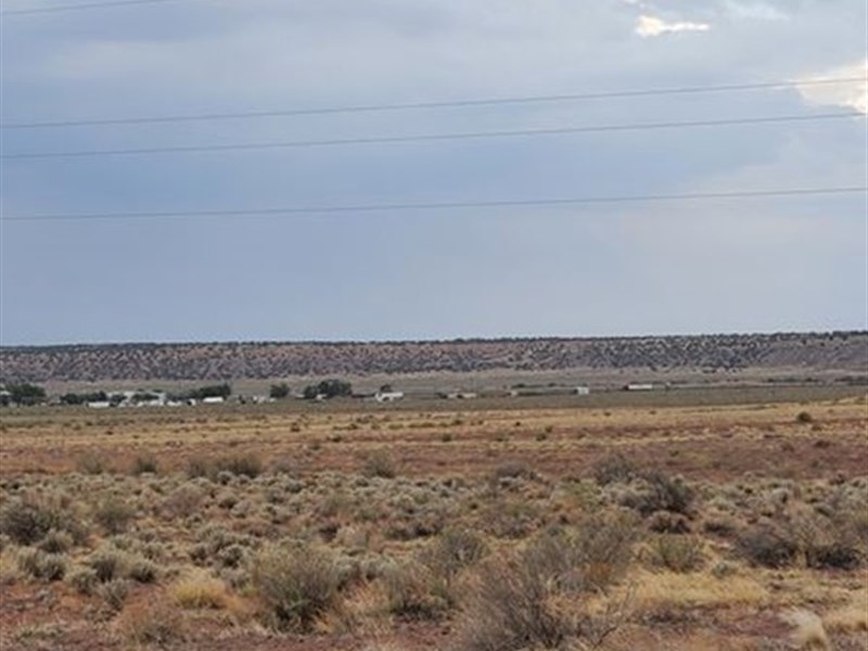 Relaxation Warning, You Need This : Sanders : Apache County : Arizona