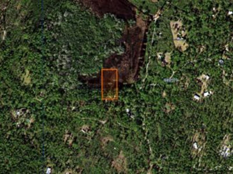 1.25 Acre Lot in River Ranch : Frostproof : Polk County : Florida