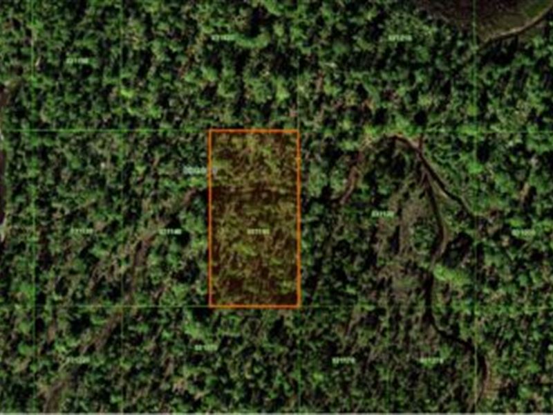 River Ranch Camping Area, 1.25 Acre : Frostproof : Polk County : Florida