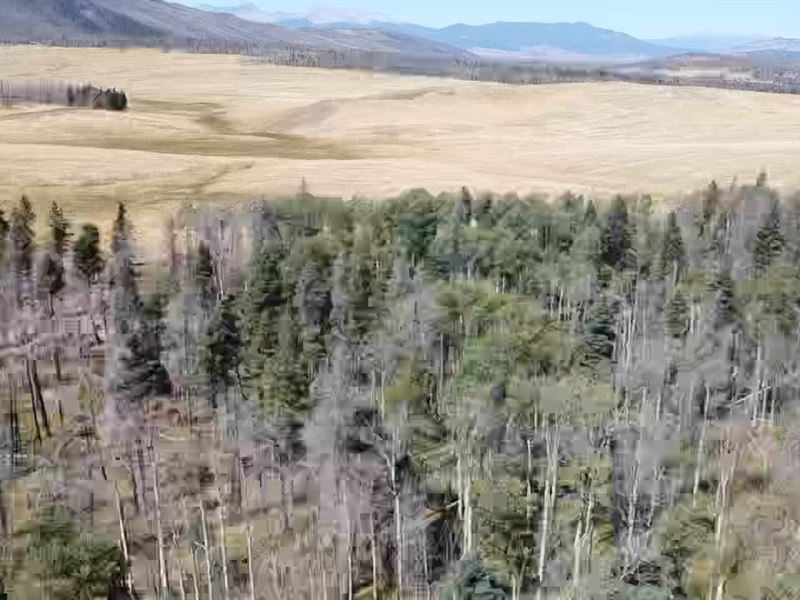 Mountain Land with Power : Fort Garland : Costilla County : Colorado