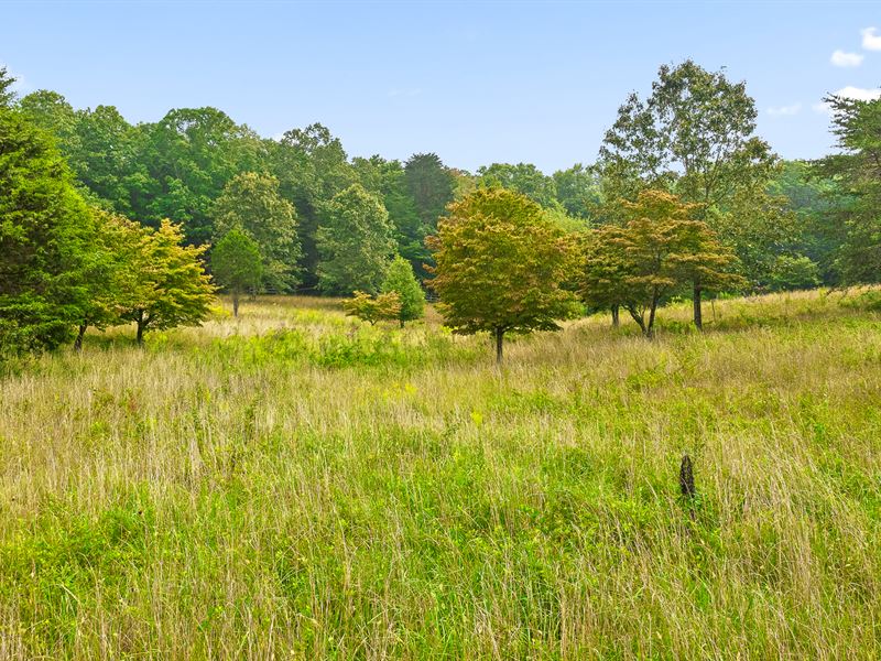 Homesite Borders State Park : Rising Fawn : Dade County : Georgia