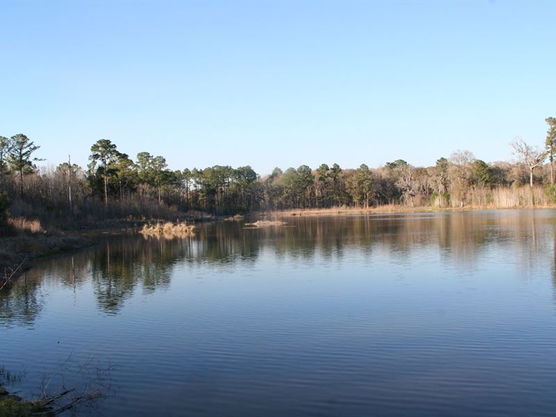 Lake Front Property, 15.07 Acres : Jacksonville : Duval County : Florida