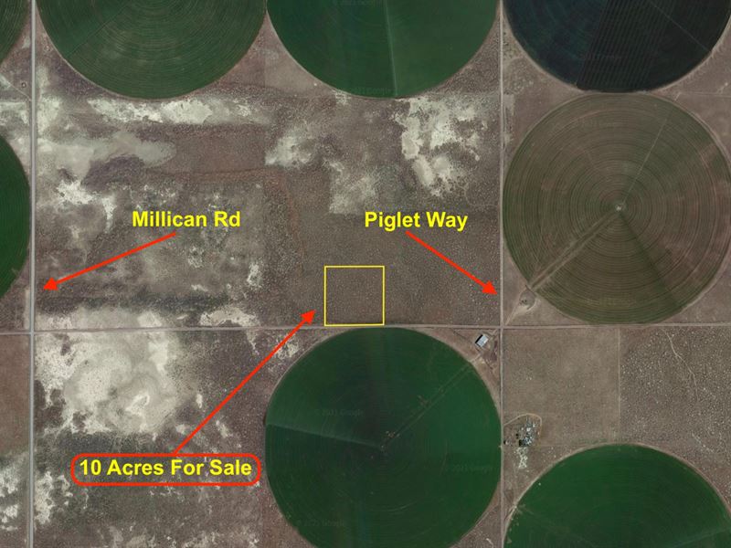 10 Acres Surrounded By Agricultural : Christmas Valley : Lake County : Oregon