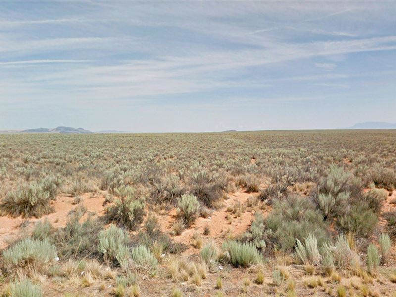 Wow, Stunning Quarter-Acre Lot : Belen : Valencia County : New Mexico