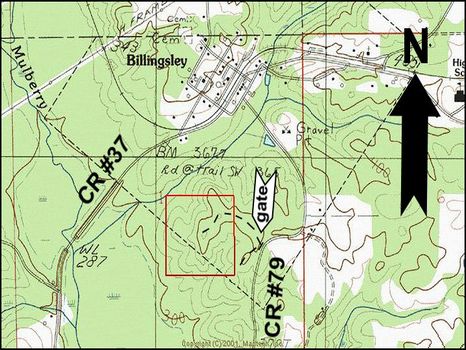 44 Ac Investment Quality Timberland : Billingsley : Autauga County : Alabama