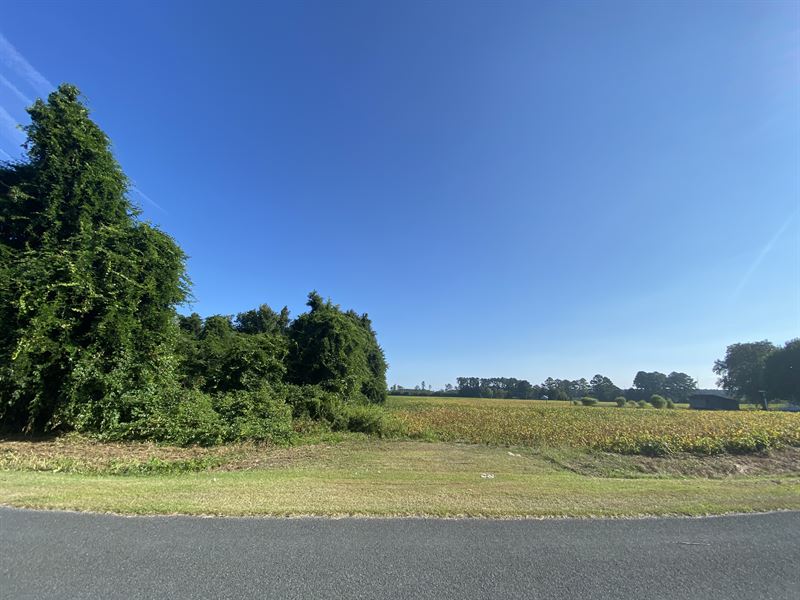 Farm for Sale in Beaufort Co., NC : Pinetown : Beaufort County : North Carolina