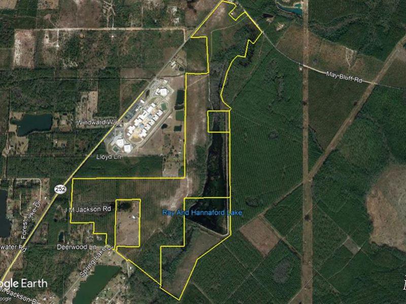 382 Acres, Hwy 252 in Folkston : Folkston : Charlton County : Georgia