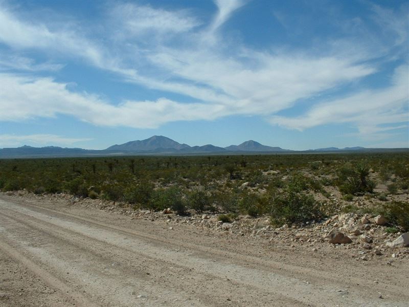 Only $289 for 20 Acres in West TX : Sierra Blanca : Hudspeth County : Texas