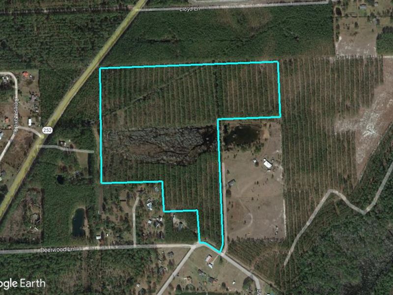 56 Acres, Hwy 252, Folkston : Folkston : Charlton County : Georgia