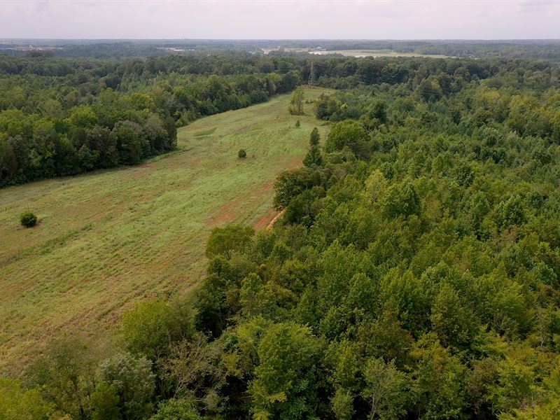 Davidson County Development Tract : Lexington : Davidson County : North Carolina