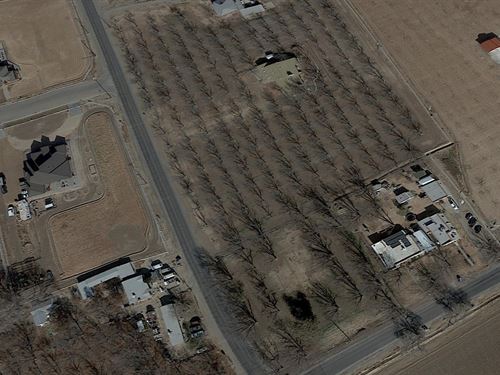 .41 Acres in El Paso, TX : Clint : El Paso County : Texas