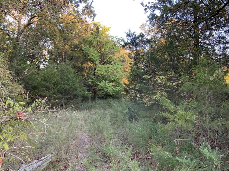 4.5 Acres, Cold Creek Road, Cav : Cave City : Independence County : Arkansas