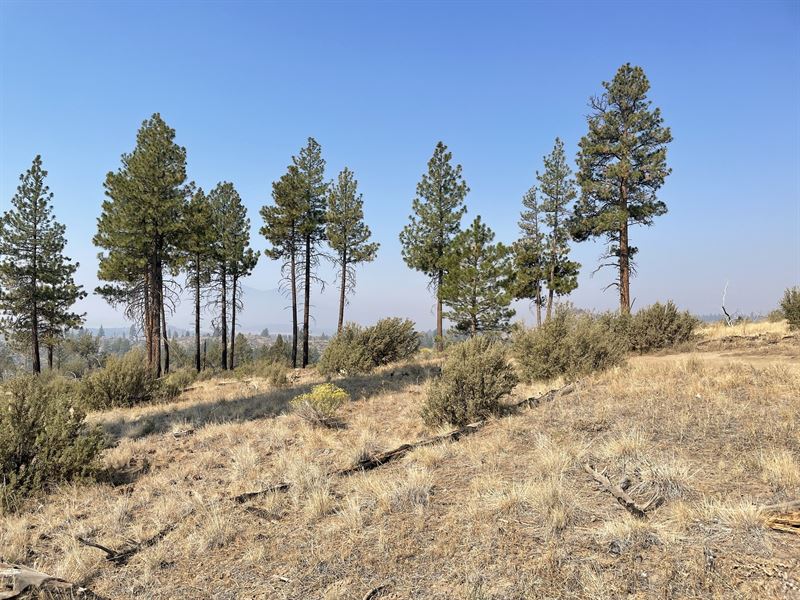 Beautiful Scenery Awaits on 3.9 Ac : Chiloquin : Klamath County : Oregon