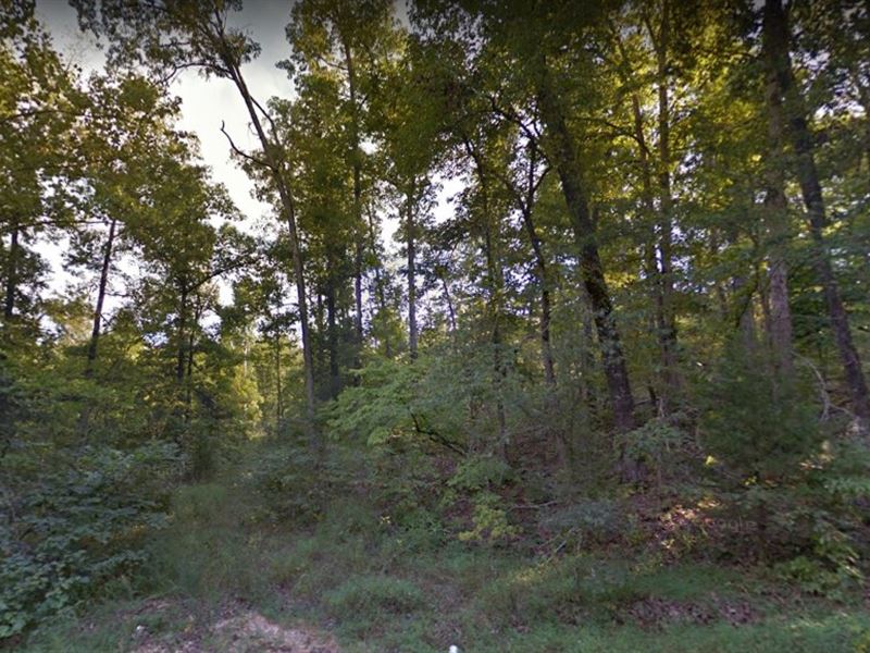 Large Corner Lot Near Lake : Williford : Izard County : Arkansas