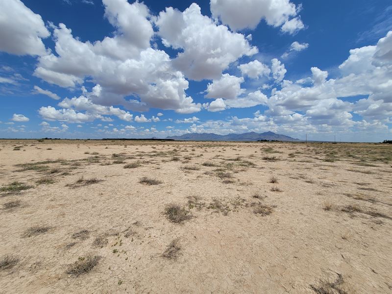 1.5 Ac Private Retreat Only $125/Mo : Deming : Luna County : New Mexico