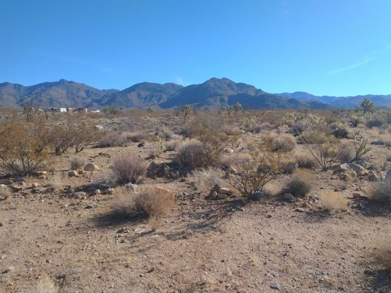 1 Acre in Yucca Valley : Yucca : Mohave County : Arizona