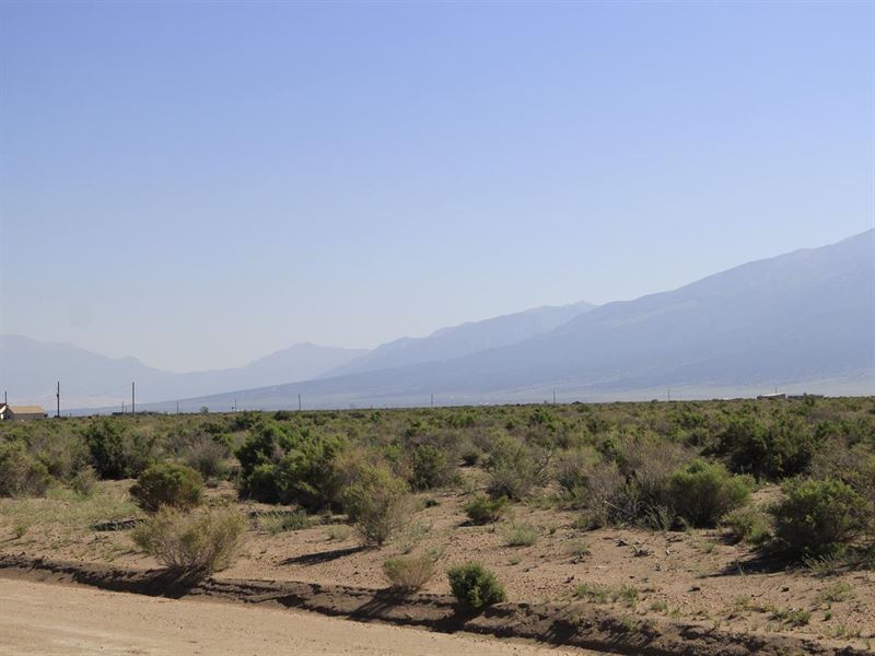 1 Ac in Alamosa County, $199 Down : Alamosa : Alamosa County : Colorado