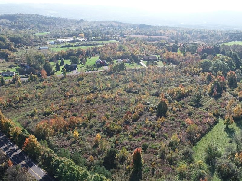 Large Acreage Building Site : Onondaga : Onondaga County : New York