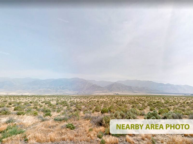 Humboldt River Ranch Property : Imlay : Pershing County : Nevada