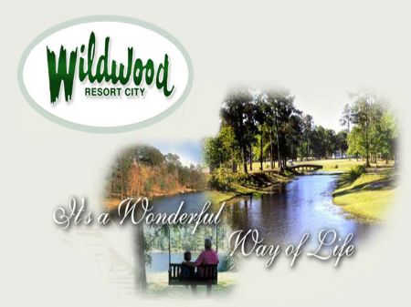 19 Lots in Wildwood Resort City, Tx : Village Mills : Hardin County : Texas