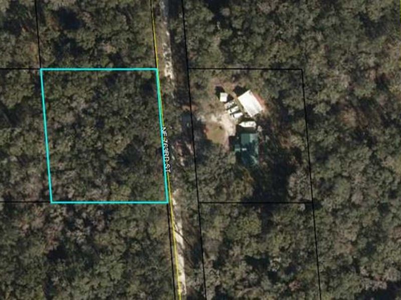 1 Acre Lot : Old Town : Dixie County : Florida