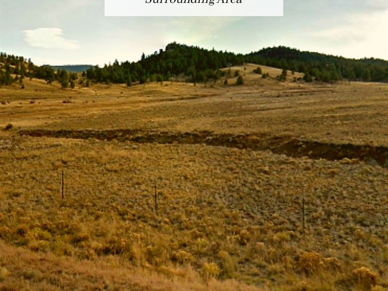 4.98 Acres Only $1 Down, $499/Mo : Denver : Park County : Colorado